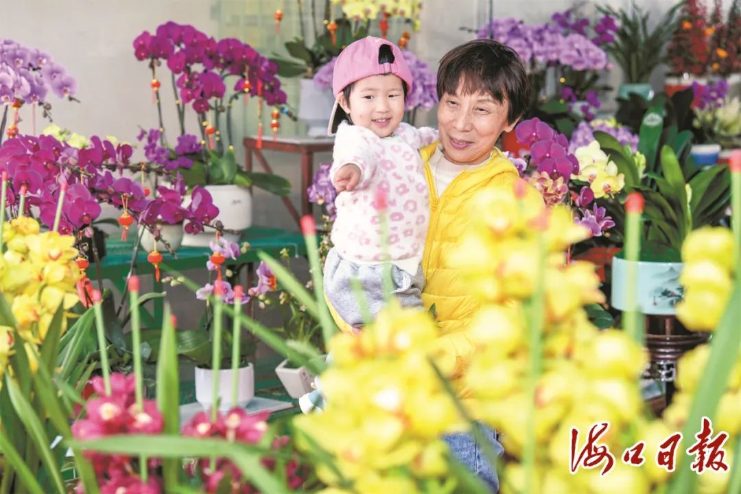 市集年味浓 商品销售旺!海口节前消费市场“热气腾腾” 市集年味浓 商品销售旺!海口节前消费市场“热气腾腾”