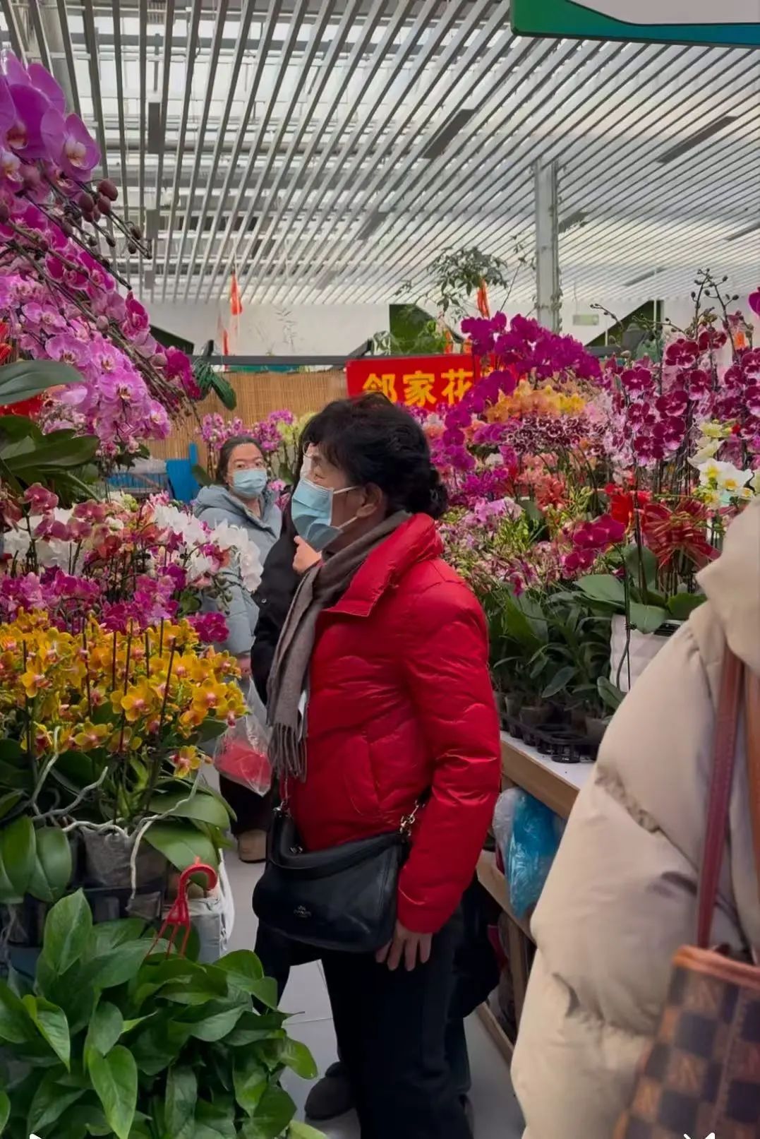 市市如意过大年——逛花市过大年,点燃 “美丽经济”迎团圆 市市如意过大年——逛花市过大年,点燃 “美丽经济”迎团圆