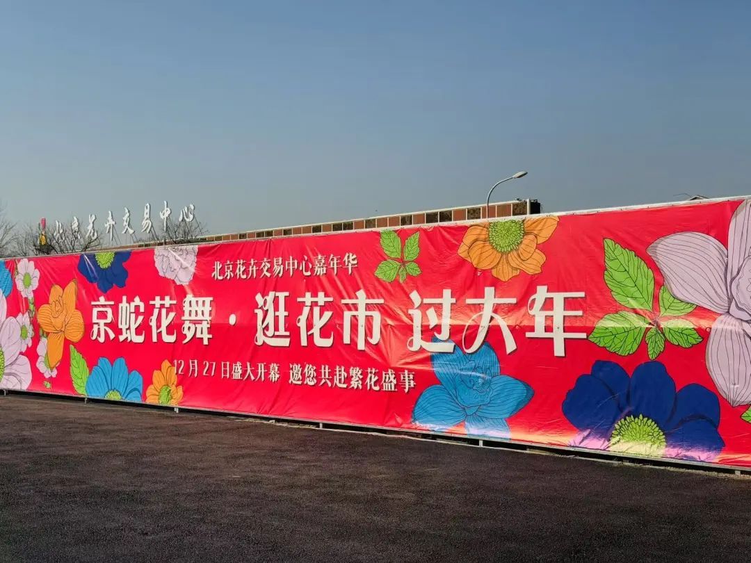 市市如意过大年——逛花市过大年,点燃 “美丽经济”迎团圆 市市如意过大年——逛花市过大年,点燃 “美丽经济”迎团圆