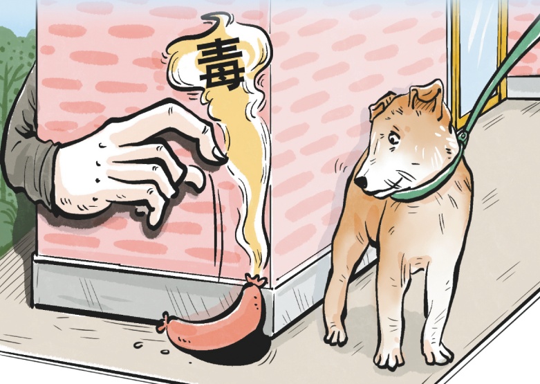 毒杀宠物事件频发，背后原因为何？