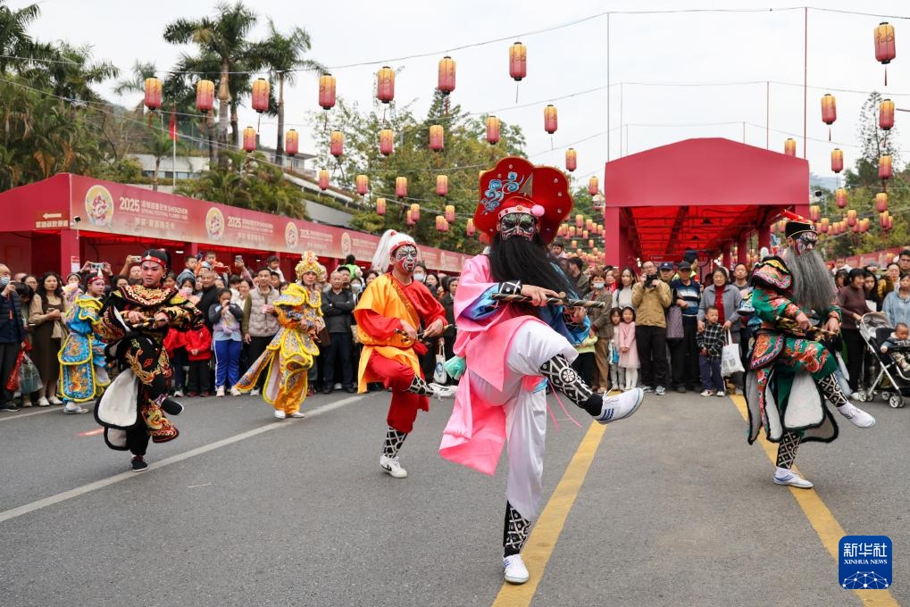 2025深圳迎春花市开市 2025深圳迎春花市开市