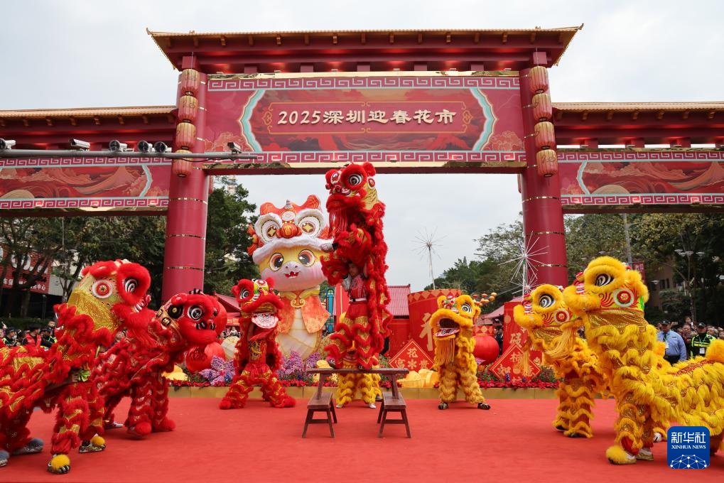2025深圳迎春花市开市 2025深圳迎春花市开市