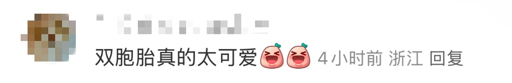 期待已久!要和“家姐”“细佬”见面啦 期待已久!要和“家姐”“细佬”见面啦