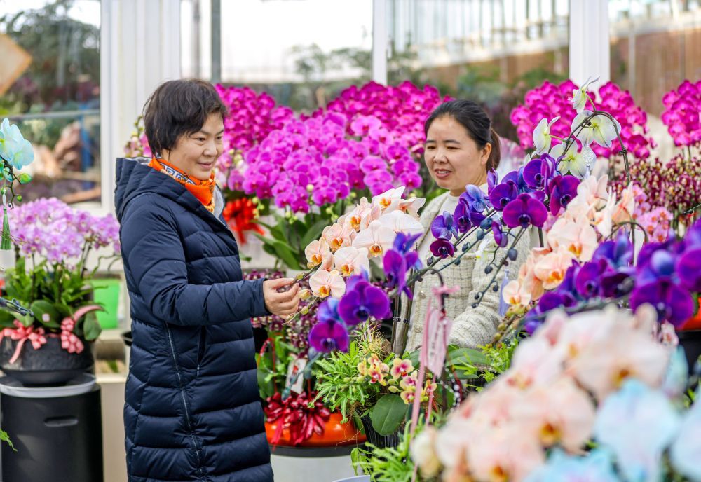 从年货购物车里解码消费新动向