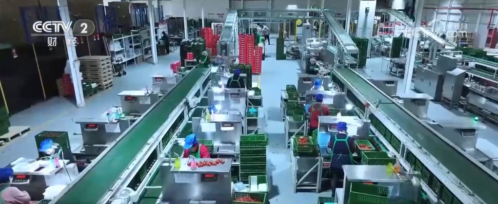 各地蔬菜基地与农贸市场齐发力 确保节前“菜篮子”供应量足价稳 各地蔬菜基地与农贸市场齐发力 确保节前“菜篮子”供应量足价稳