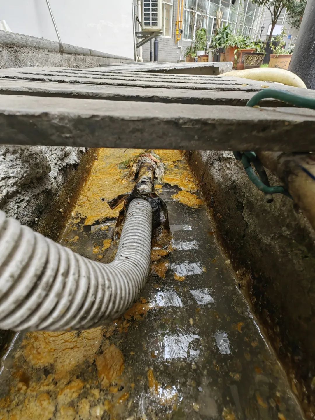 哪儿来的?贵阳一小区排水沟飘起一层 “红油”…… 哪儿来的?贵阳一小区排水沟飘起一层 “红油”……