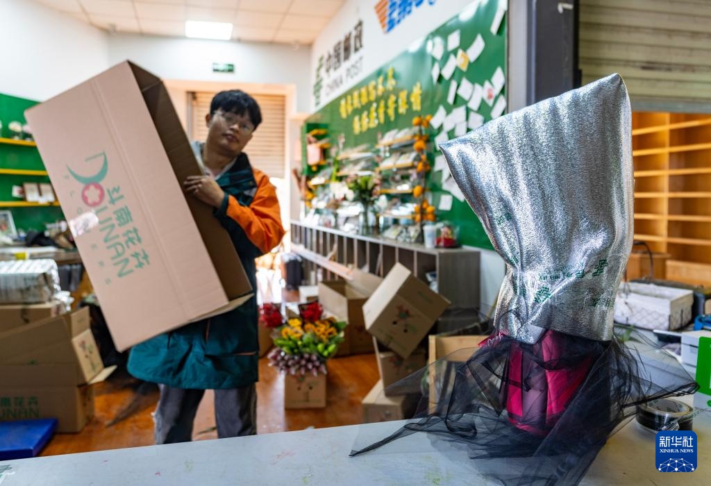 新春走基层丨昆明斗南年宵花迎来销售旺季