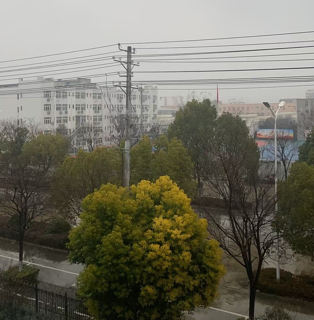 暴雪！大暴雪！今冬最强！阜阳再迎寒潮！刚刚阜阳多处拍下！