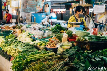 春节期间广东“菜篮子”将货足价稳