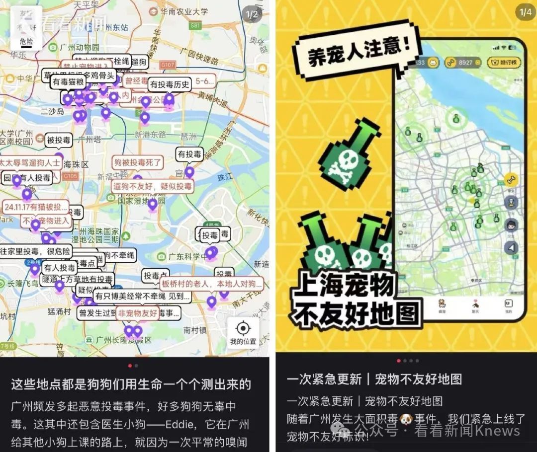 一夜之间死了十余只！上海一小区业主十分痛心