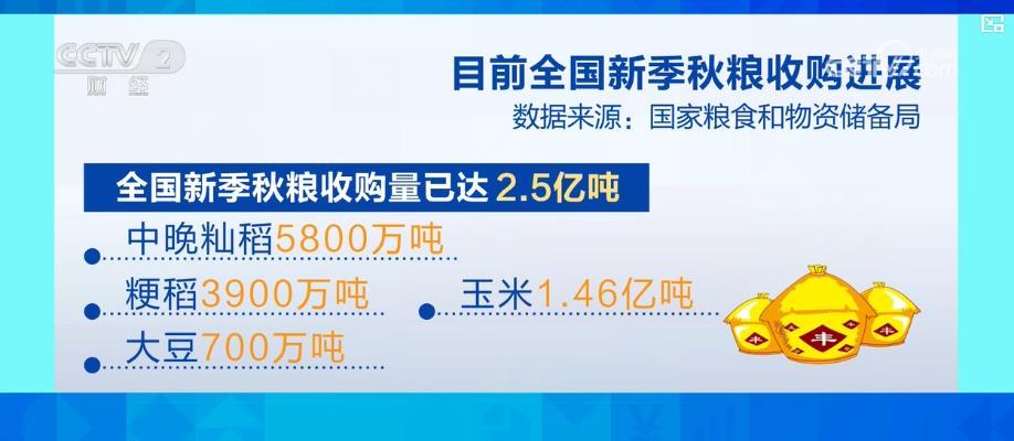 粮食市场购销两旺 新季秋粮收购总量再上新台阶