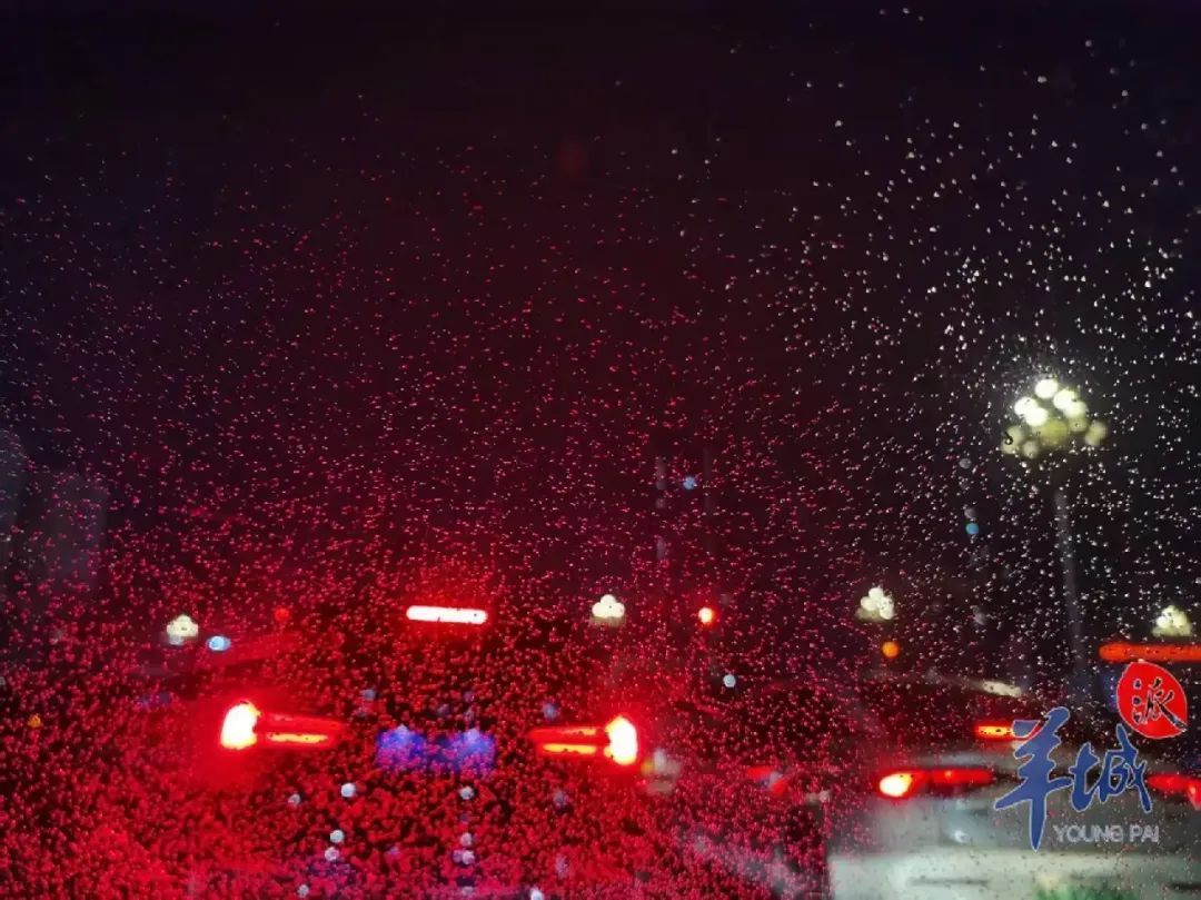 广东这些地区或将下雪！今年首个全能型寒潮来袭，最新预测→