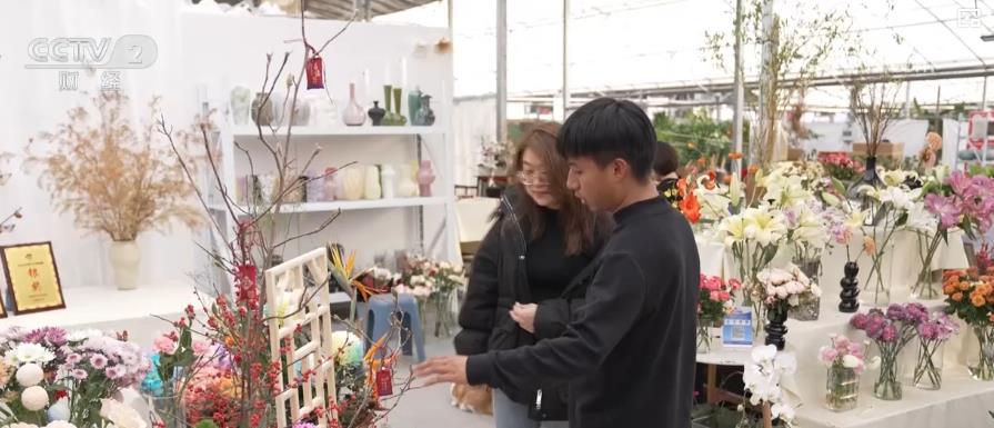 花卉市场年宵花走俏 消费者争相选购迎新春