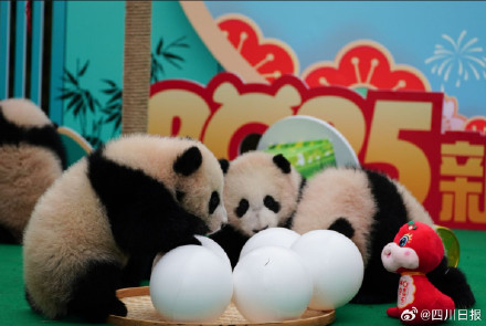 可可爱爱!四川最萌的特色年货来了 可可爱爱!四川最萌的特色年货来了