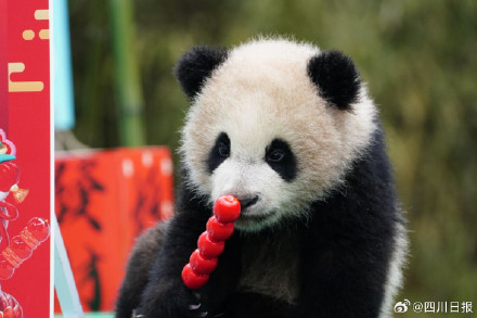 可可爱爱!四川最萌的特色年货来了 可可爱爱!四川最萌的特色年货来了