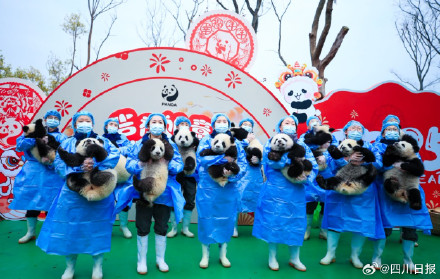 可可爱爱!四川最萌的特色年货来了 可可爱爱!四川最萌的特色年货来了