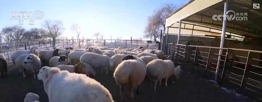 欢庆小年儿:传统民俗精彩上演 共迎祥和新春 欢庆小年儿:传统民俗精彩上演 共迎祥和新春