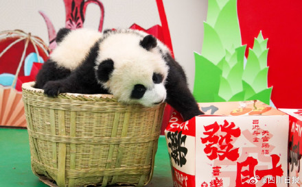 可可爱爱!四川最萌的特色年货来了 可可爱爱!四川最萌的特色年货来了