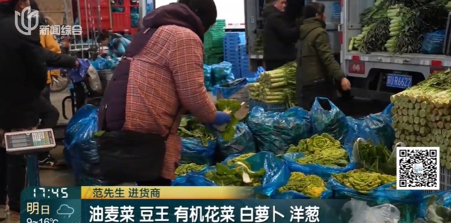 上海人今年春节省钱了！部分菜价降幅达30%！最新行情→