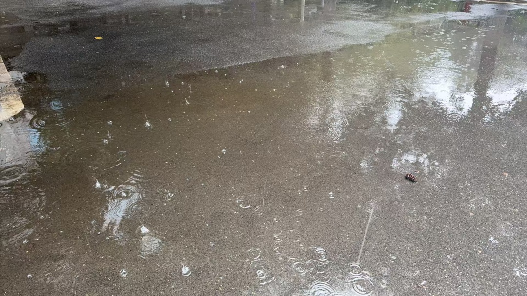 暴雪！大暴雪！今冬最强！阜阳再迎寒潮！刚刚阜阳多处拍下！