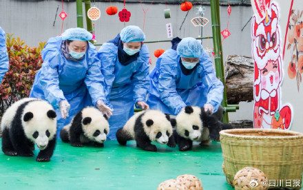 可可爱爱!四川最萌的特色年货来了 可可爱爱!四川最萌的特色年货来了