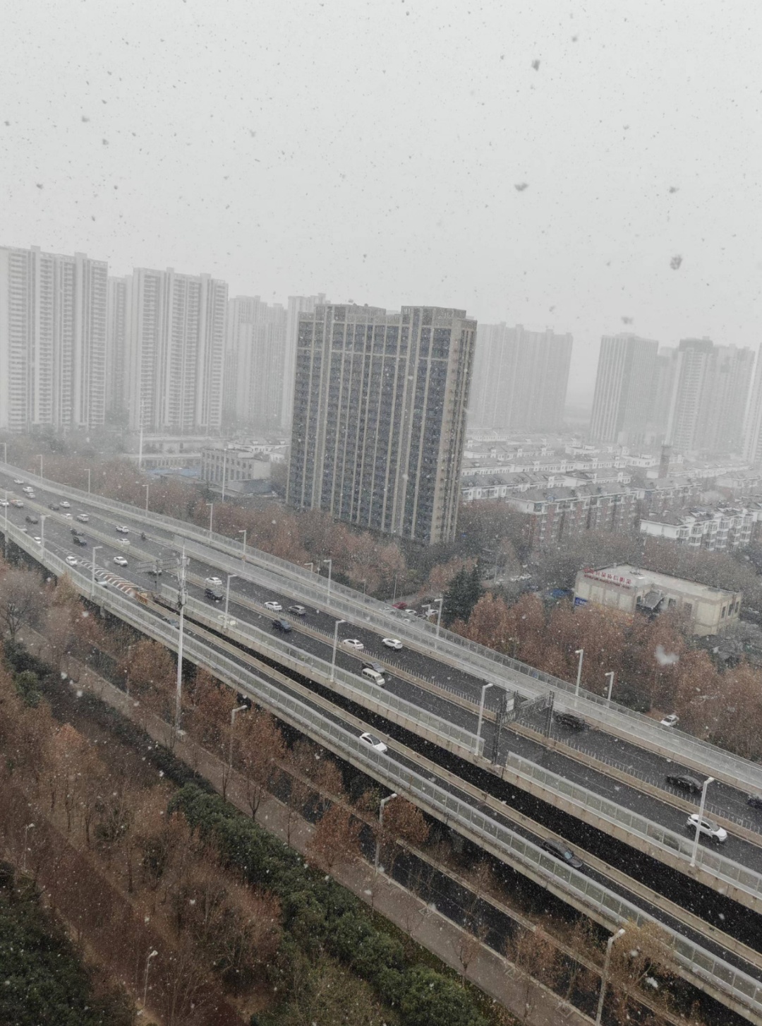来了！来了！郑州下雪了！