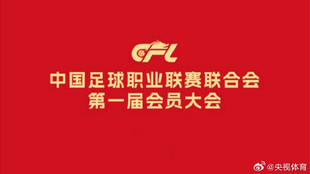 中国足球职业联赛联合会正式成立