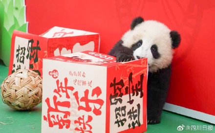 可可爱爱!四川最萌的特色年货来了 可可爱爱!四川最萌的特色年货来了