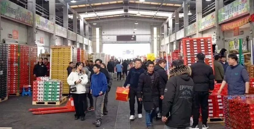 上海人今年春节省钱了！部分菜价降幅达30%！最新行情→