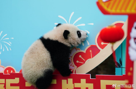 可可爱爱!四川最萌的特色年货来了 可可爱爱!四川最萌的特色年货来了