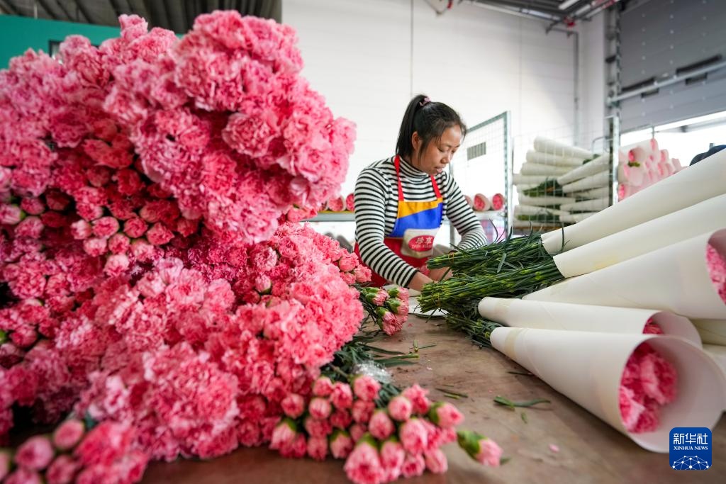 新春走基层丨昆明斗南年宵花迎来销售旺季