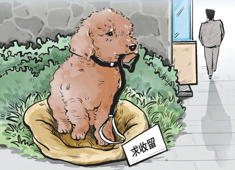 这些原因就让你轻易选择弃养宠物？