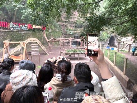 小年到！大熊猫“渝可”“渝爱”携“虫洞”小伙伴邀请大家一起吃团年饭