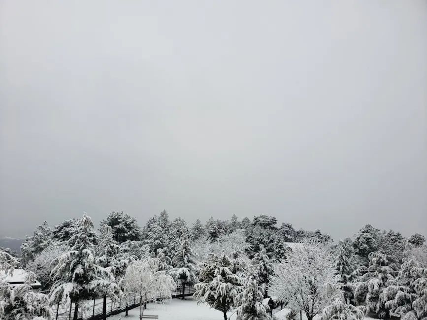 陕西暴雪预警丨今晨西安城区飘雪，多条高速收费站管控，最新消息→