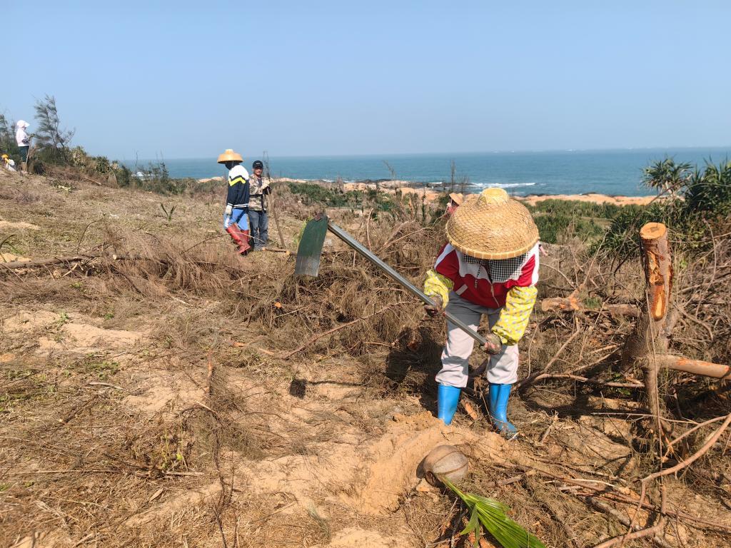 新春走基层丨风雨已远，复苏正劲——海南文昌台风灾区新春见闻