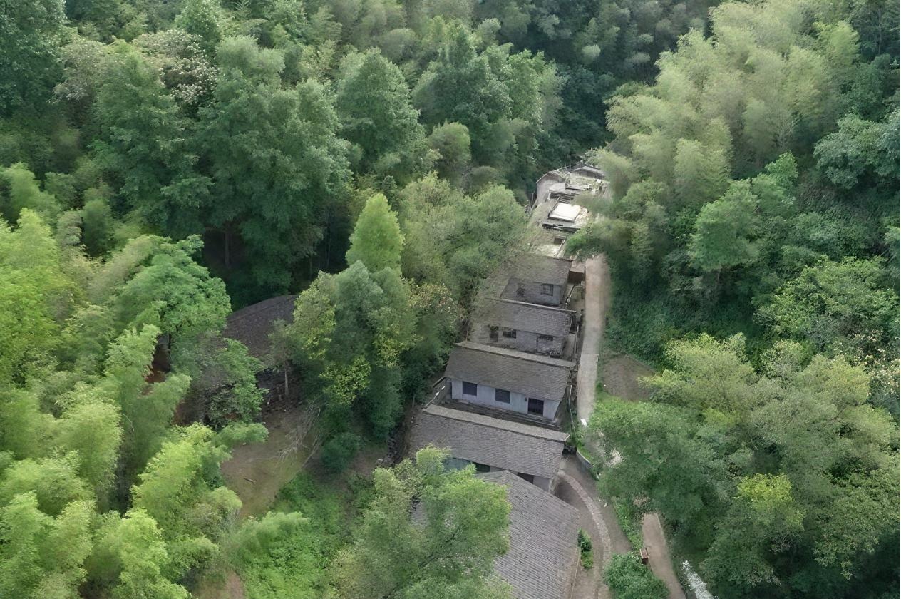 金融赋能 让非遗在年味中绽放“新”彩