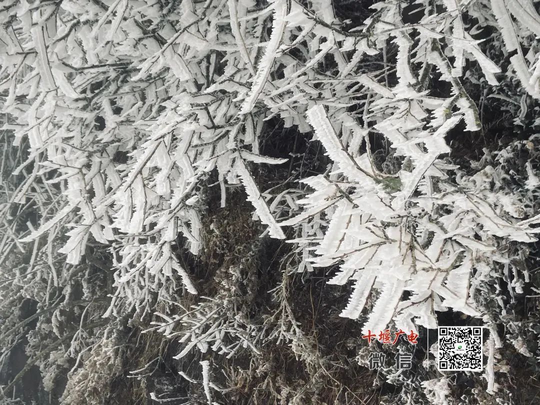 湖北下雪了！武汉春节天气正式发布——