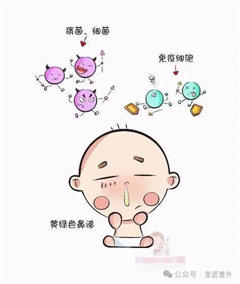 不小心把鼻涕咽下去了，会不会造成感染？