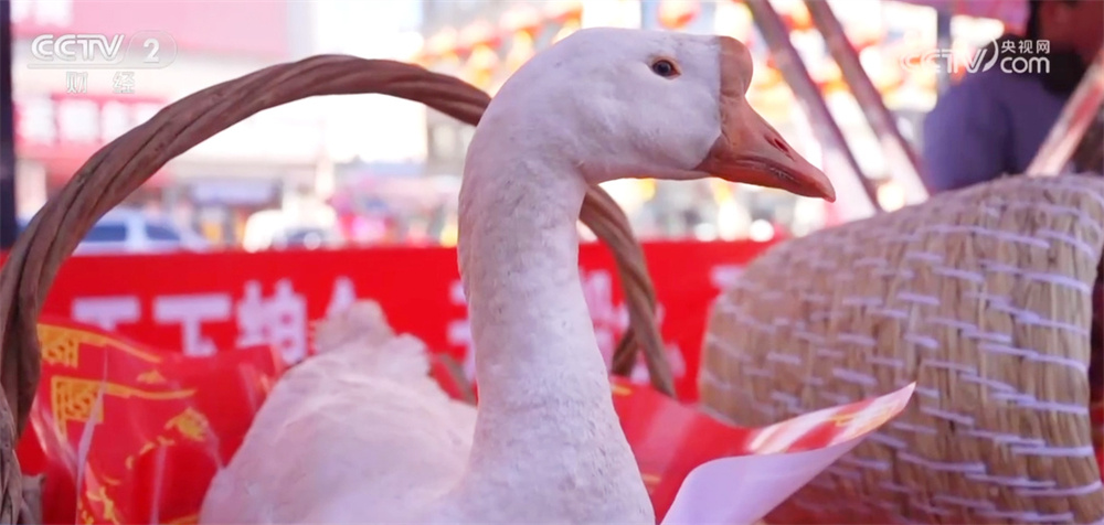 年货大集红红火火点燃消费“热” 成为县域春节经济增长新特色