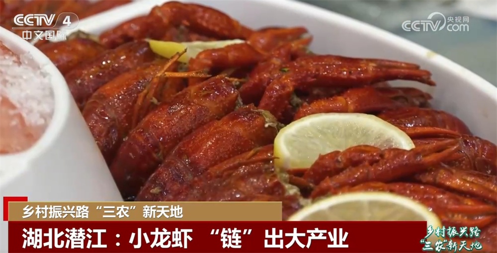 从“一季红”到“四季鲜” 小龙虾 “链”出大产业促农增收助振兴