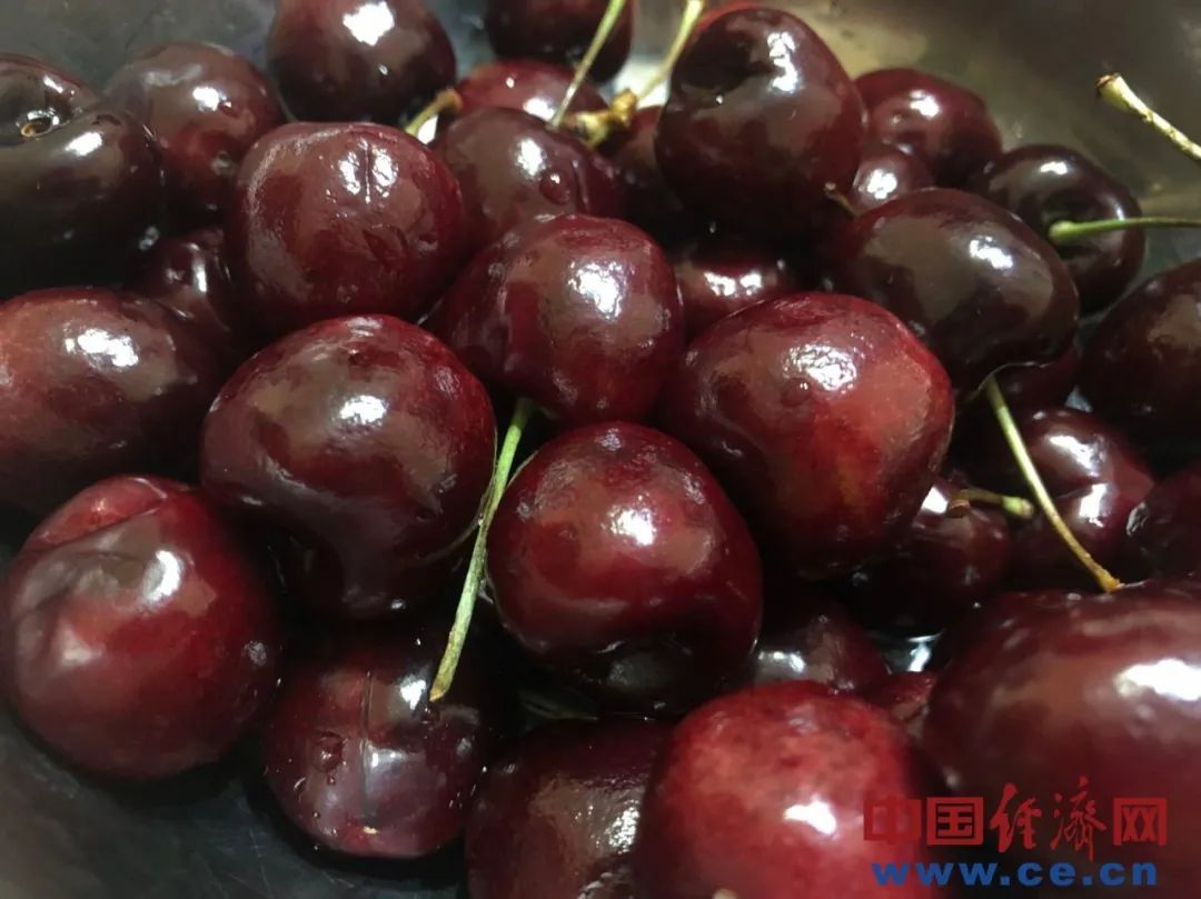 为什么车厘子运输20多天不坏，买回家没几天就坏了？