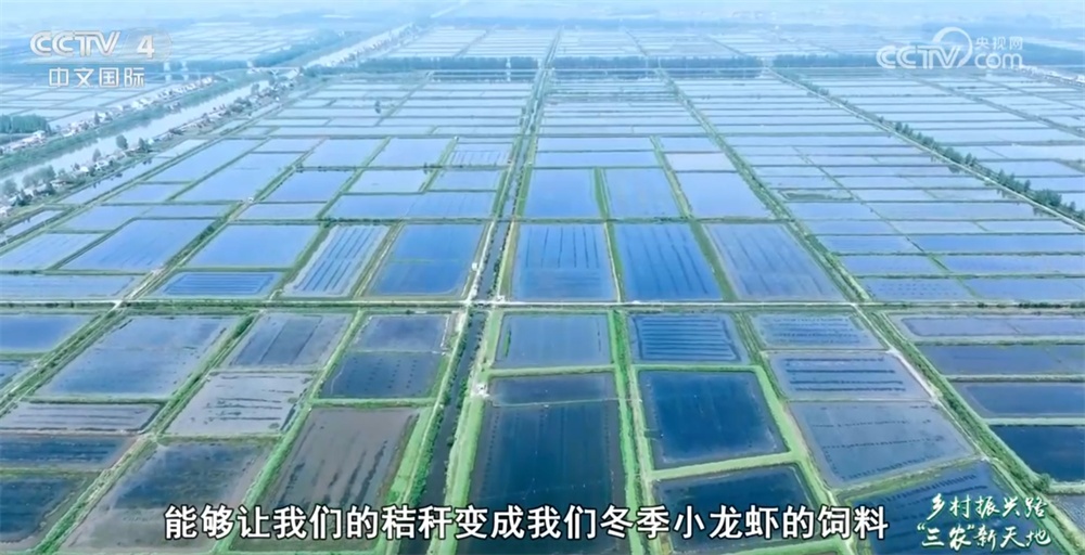 从“一季红”到“四季鲜” 小龙虾 “链”出大产业促农增收助振兴