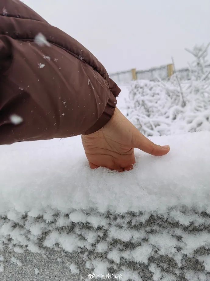 报！河南多地已出现大到暴雪，接下来……