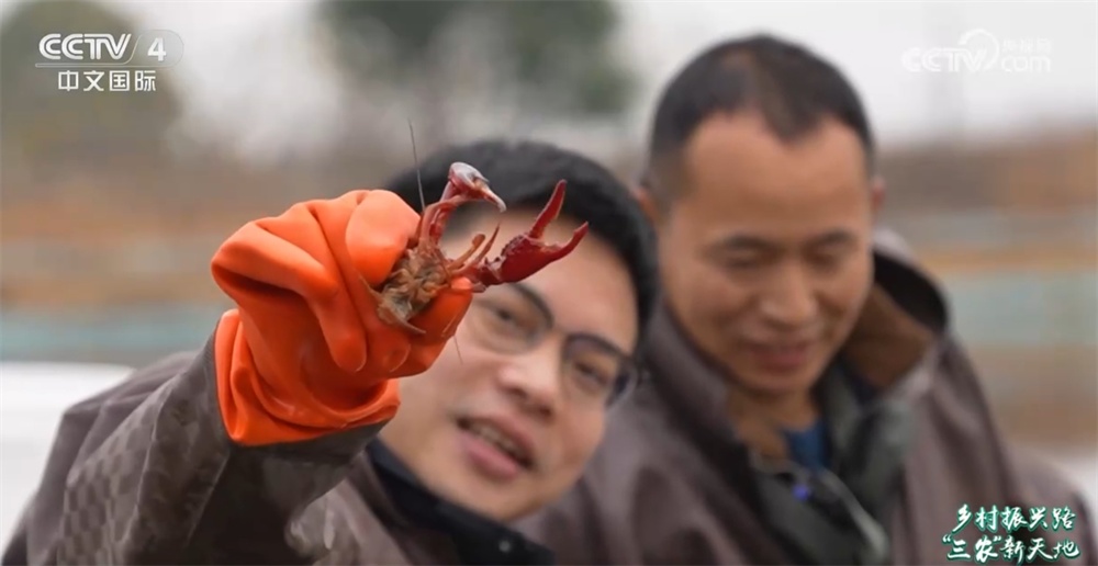 从“一季红”到“四季鲜” 小龙虾 “链”出大产业促农增收助振兴