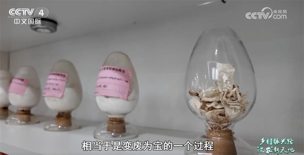 从“一季红”到“四季鲜” 小龙虾 “链”出大产业促农增收助振兴