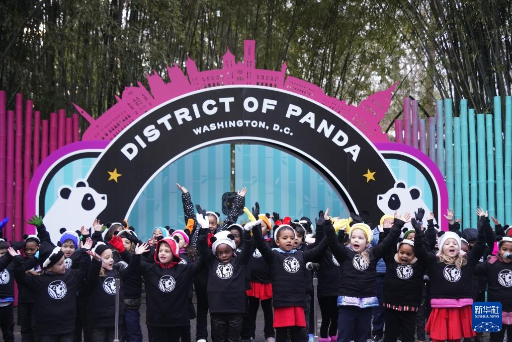 旅美大熊猫“宝力”“青宝”首次与美国公众见面 旅美大熊猫“宝力”“青宝”首次与美国公众见面