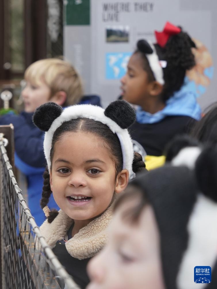 旅美大熊猫“宝力”“青宝”首次与美国公众见面 旅美大熊猫“宝力”“青宝”首次与美国公众见面