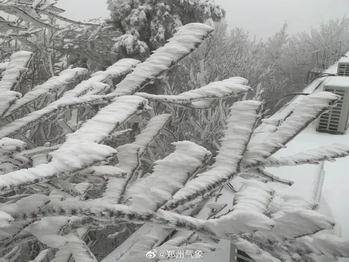 报！河南多地已出现大到暴雪，接下来……
