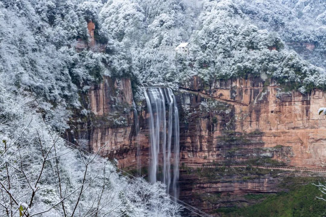 瑞雪兆丰年｜重庆下！雪！啦！