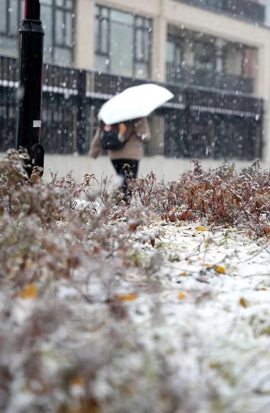 沈阳人请注意!有暴雪!今晚就开下!雪后还有大降温! 沈阳人请注意!有暴雪!今晚就开下!雪后还有大降温!